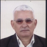محمد خليل